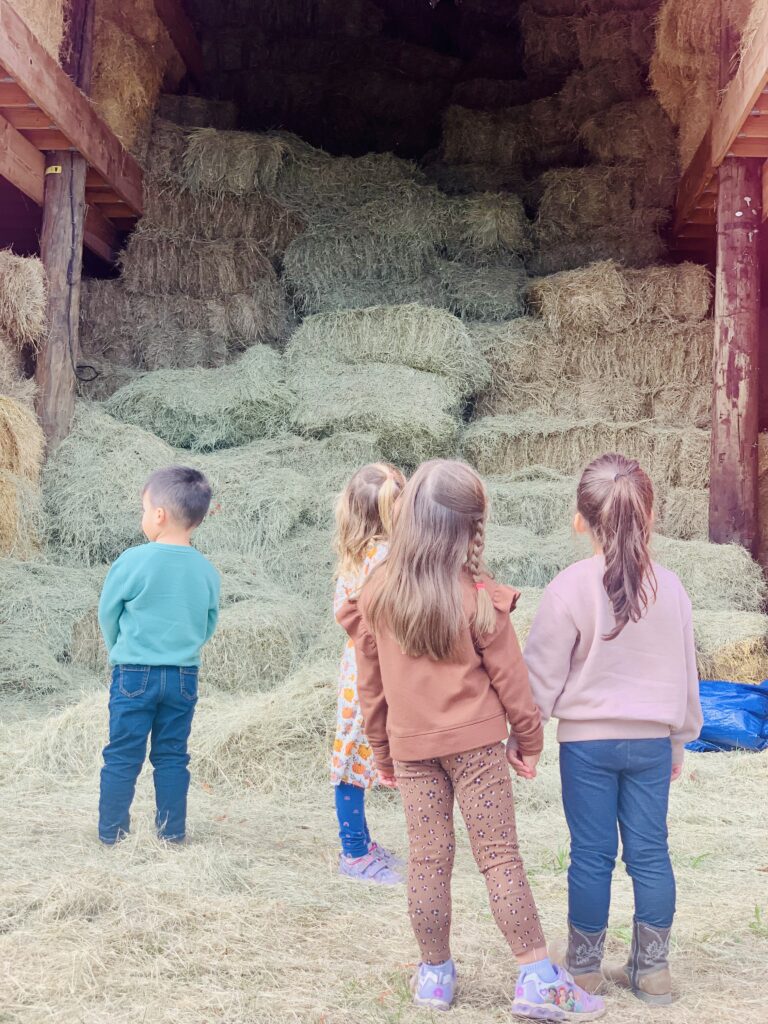 Families at a Sandhills Friends community event